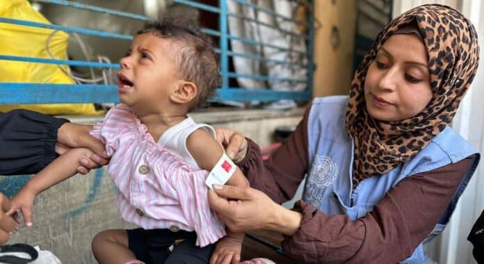 Gaza: Miles de bebés están desnutridos, mientras los camiones con comida permanecen en la frontera