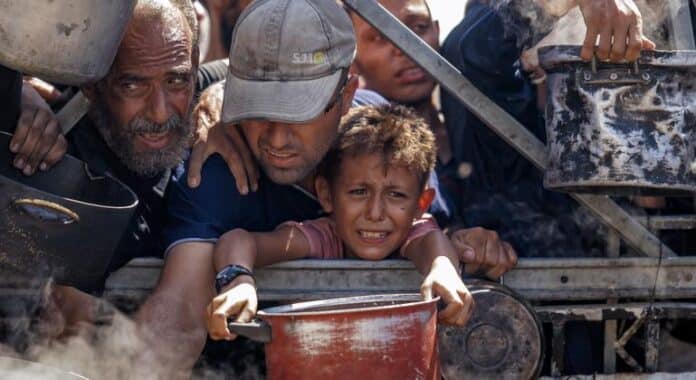 Gaza en primera persona: ‘Lo mejor de la humanidad en un lugar abandonado por la humanidad’