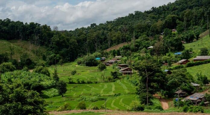 El Secretario General urge a Camboya y Tailandia a un alto el fuego inmediato