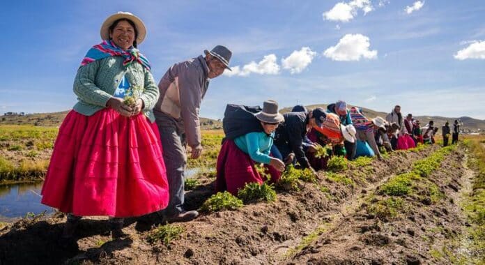 Sembrando el empoderamiento: las mujeres agricultoras en Perú luchan contra el cambio climático