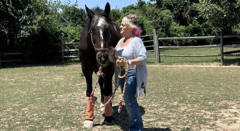 Día Mundial del Caballo, un homenaje al compañero más fiel y antiguo de la humanidad