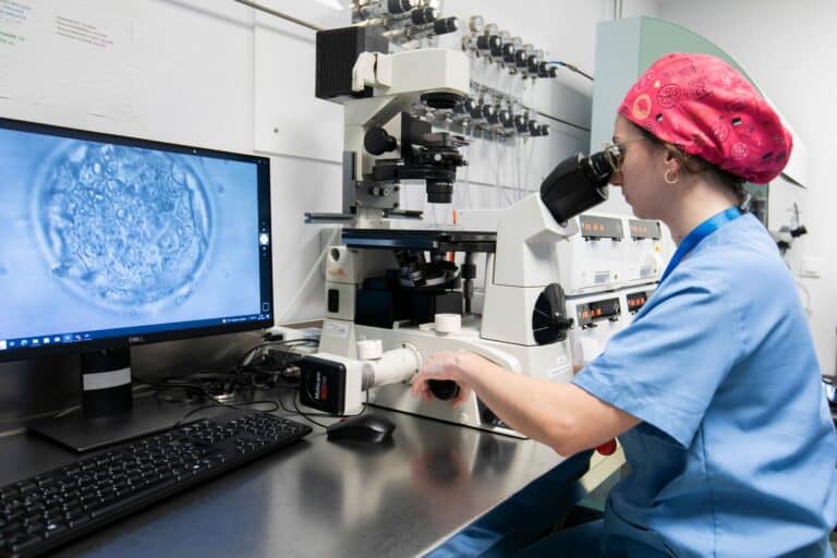 La edad materna no influye en la implantación embrionaria ni en la tasa de nacido vivo tras la transferencia de embriones euploides en ciclos de reproducción asistida