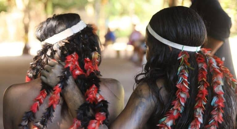 La inteligencia artificial se utiliza a menudo para rastrear a activistas indígenas