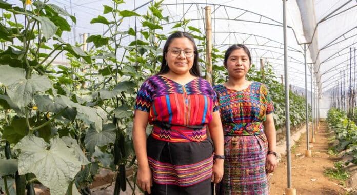 Los 1,300 Millones de Jóvenes del Mundo y los Retos Los 1300 millones de jóvenes del mundo se enfrentarán a los retos de los sistemas agroalimentarios