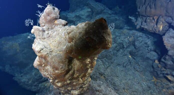 Los fondos marinos no deben convertirse en el “Salvaje Oeste” de la explotación de minerales raros