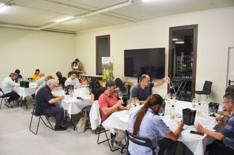 Paadín Eventos descorcha el futuro enológico de Galicia: el mayor estudio sobre la guarda de vinos blancos