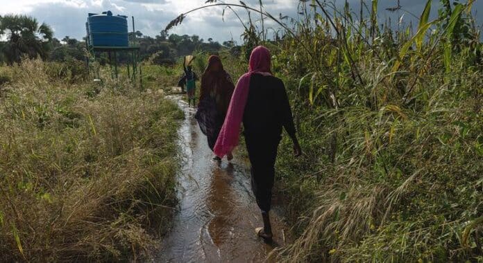 Sudán: UNICEF condena los ataques en Kordofán del Norte en los que murieron 35 niños