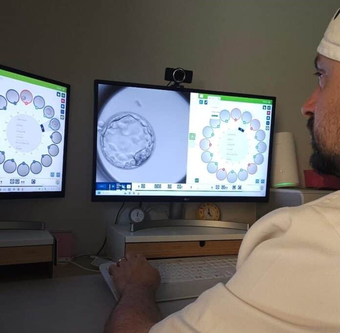 Un modelo de IA prevé con acierto del 82% el desarrollo de embriones con técnicas de reproducción asistida
