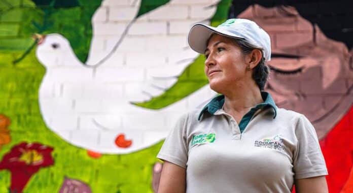 En Colombia es “más urgente que nunca” sacar la violencia de la política