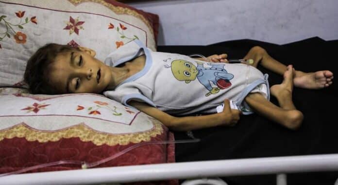 Gaza, RD Congo, calor extremo, maltrato durante el parto… Las noticias del jueves