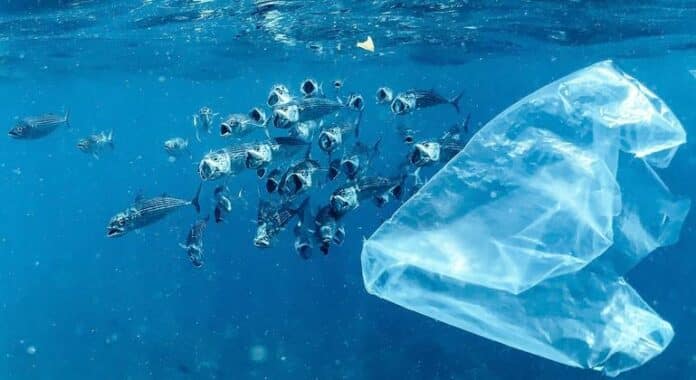 Los residuos plásticos se triplicarán para 2060, un tratado que se negocia en Ginebra busca impedirlo
