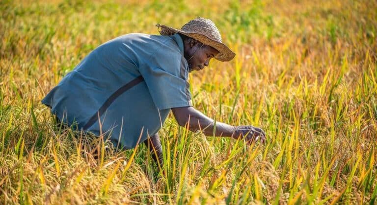 El calor extremo amenaza la salud de millones de trabajadores expuestos a la intemperie