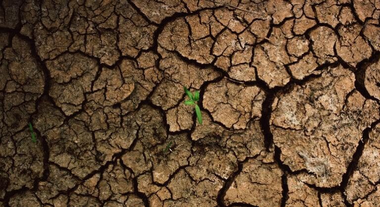 El cambio climático empujará a casi seis millones de niños y jóvenes a la pobreza en América Latina