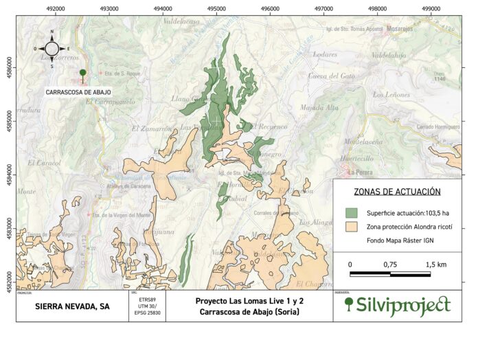Así será el nuevo bosque de 119 hectáreas en Carrascosa de Abajo (Soria) diseñado con soluciones basadas en la naturaleza