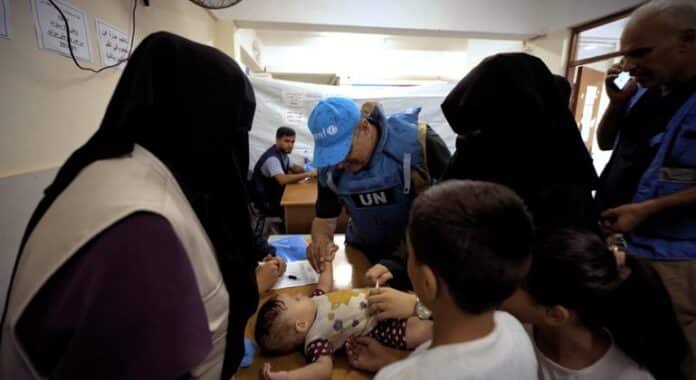 El médico que interrumpió su jubilación y se fue a Gaza: "El trabajo humanitario es una obligación moral"
