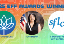 Reconociendo el Cambio: Premios EFF a Quienes Generan Transformaciones EFFecting Change: EFF Awards Honoring Those Who Are EFFecting Change