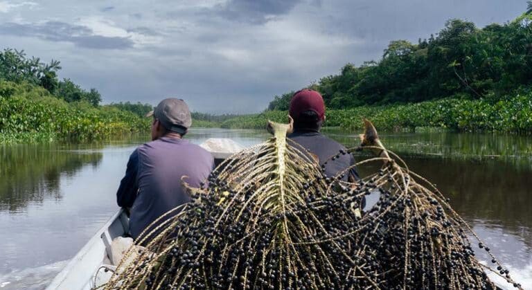 Brasil y la ONU ponen a la Amazonía en el foco de la agenda global contra el hambre y el cambio climático