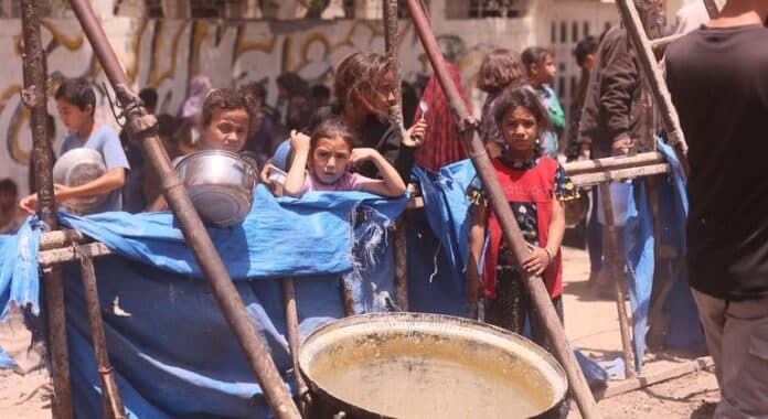 Un millón de personas están sin opciones seguras en Gaza