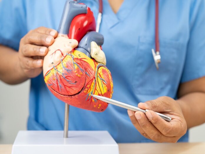 Dr. Gonzalo Navarrete, jefe del servicio de Cardiología de Policlínica Gipuzkoa: "El ejercicio físico es fundamental para prevenir enfermedades cardiovasculares, incluso independientemente del peso del paciente"