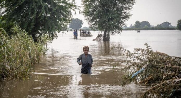 Entre inundaciones y sequías: el ciclo del agua es cada vez más irregular y extremo