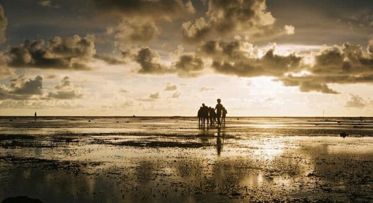 El enfriamiento de La Niña no detendrá el calentamiento global