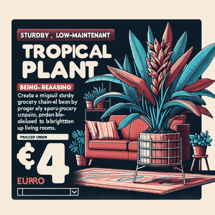 Lidl acaba de lanzar la planta tropical resistente y de bajo mantenimiento que aportará color a tu salón por menos de 4 euros