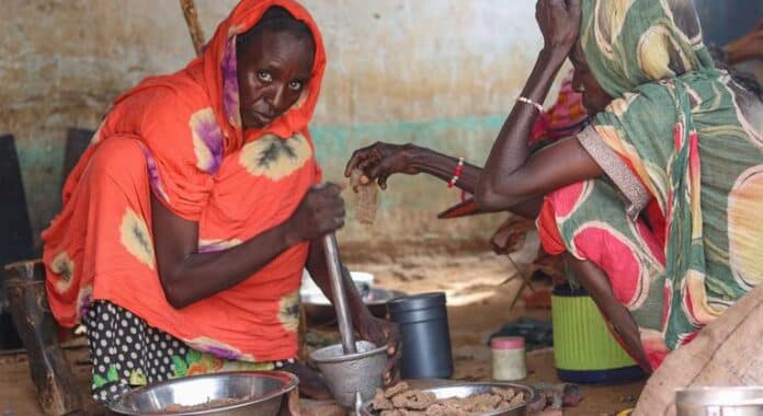 Ejecuciones sumarias, masacres, violaciones y demás atrocidades en El Fasher, Sudán