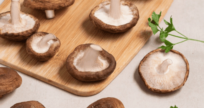 'Champiñones y setas europeas', un ingrediente, infinitas posibilidades
