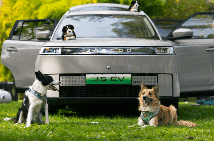 JAECOO presenta cinco consejos para disfrutar con perro en cada viaje