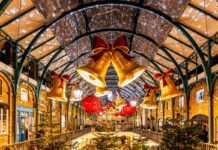 Descubre las Tendencias de Viaje para Esta Navidad y Año Nuevo con KAYAK: Los Días Más Económicos para Volar KAYAK revela las tendencias de viaje para esta Navidad y Año Nuevo y los días más económicos para viajar