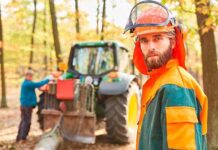 Formación Universitaria para el Título Oficial de Técnico Superior en Gestión Forestal y del Medio Natural Formación Universitaria prepara para el Título Oficial de Técnico Superior en Gestión Forestal y del Medio Natural