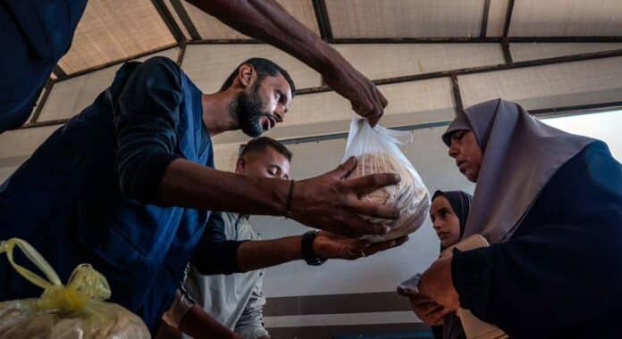 Gaza: Avances Humanitarios Frente a Desafíos Logísticos Gaza: Continúan los esfuerzos humanitarios en medio de desafíos logísticos