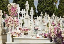 Geneanet Llega a 7,5 Millones de Tumbas Digitalizadas para Preservar la Memoria Histórica Geneanet alcanza los 7,5 millones de tumbas digitalizadas con las que preservar la memoria histórica