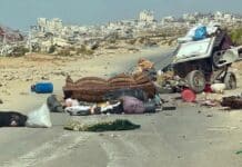 Guerra en Gaza: Dos Años de Conflictos, Olivos en Cisjordania y Mujeres Pioneras Dos años de guerra en Gaza, olivos en Cisjordania, mujeres pioneras... Las noticias del miércoles