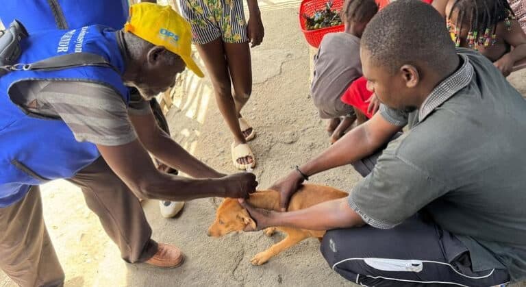 Haití combate la rabia con vacunas y vigilancia