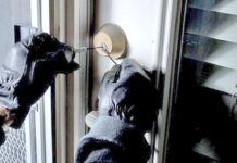 Incremento de Robos en Cataluña, Comunidad Valenciana y Andalucía en el Primer Semestre de 2025 Cataluña, Comunidad Valenciana y Andalucía, las regiones con más robos en la primera mitad de 2025