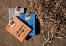 La Generalitat Activa Escuelas y Docentes en Cataluña por la Setmana Bio con Más de 450 Actividades Sostenibles La Generalitat moviliza escuelas y docentes de toda Cataluña con motivo de la Setmana Bio, que prevé más de 450 actividades por la sostenibilidad