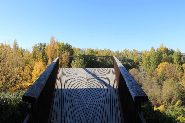 Siete cocineros, una corona y mil años de historia en los fogones de Almazán