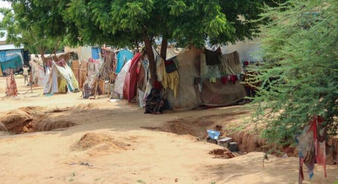 Tragedia en Darfur: Ataques a Mezquita y Hospital Dejan Más Al menos 20 personas mueren en ataques a la mezquita y al hospital de El Fasher, en Darfur, Sudán