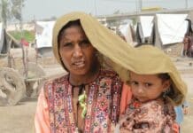 300 Millones de Dólares para Combatir la Crisis de Salud Climática en la COP30 COP30: 300 millones de dólares para afrontar la crisis de la salud causada por el clima