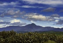 ADEL Fortalece la Economía Rural a Través de Ayudas a Asociaciones y Ayuntamientos ADEL impulsó la economía rural con ayudas a asociaciones y ayuntamientos