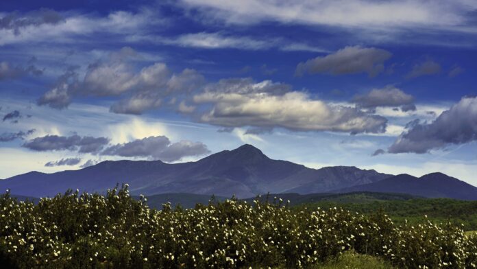 ADEL Fortalece la Economía Rural a Través de Ayudas a ADEL impulsó la economía rural con ayudas a asociaciones y ayuntamientos
