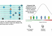 Acelerando la Interpretación de Variantes Genómicas con AWS HealthOmics y Amazon Bedrock AgentCore Accelerating genomics variant interpretation with AWS HealthOmics and Amazon Bedrock AgentCore