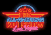 All-American Koi Show 2026: La Exposición Mundial de Koi en Las Vegas, Nevada All-American Koi Show 2026: la exposición líder mundial de koi tendrá lugar en Las Vegas, Nevada