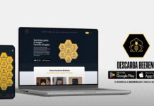 BeeReno: El Nuevo Hub Digital Confiable para Servicios del Hogar en España BeeReno se lanza para convertirse en el hub digital más confiable de España para servicios del hogar