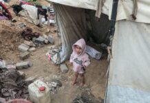 Conflictos y Desafíos Globales: Gaza, Feminicidios en América Latina y Avances en Vacunas contra la Malaria Gaza, feminicidios en América Latina, vacunas contra la malaria... Las noticias del lunes