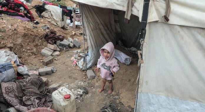 Conflictos y Desafíos Globales: Gaza, Feminicidios en América Latina y Gaza, feminicidios en América Latina, vacunas contra la malaria... Las noticias del lunes