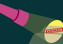 Decisión del Tribunal de Washington: Datos Capturados en Cámaras de Flock Safety Son Registros Públicos FOIA Flashlight