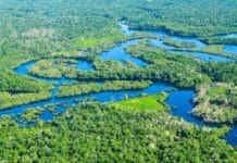 Desafíos Globales: COP30, Crisis en Gaza, Tuberculosis y Situación en Colombia – Noticias del Miércoles COP30, Gaza, tuberculosis, Colombia... Las noticias del miércoles