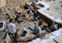 Descubrimiento de los Caballos Más Antiguos del Linaje Ibérico en las Excavaciones de La Malia en Tamajón Los caballos más antiguos del linaje ibérico salen a la luz en las excavaciones de La Malia en Tamajón